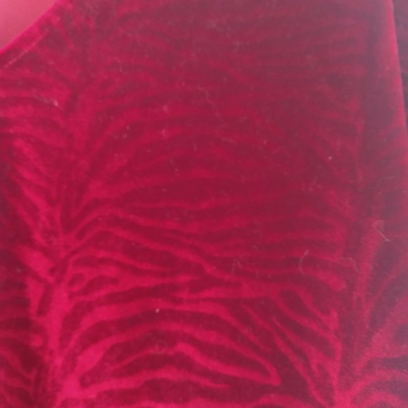 Red Velvet Puffy Sleeve Top - Picture 5 of 5